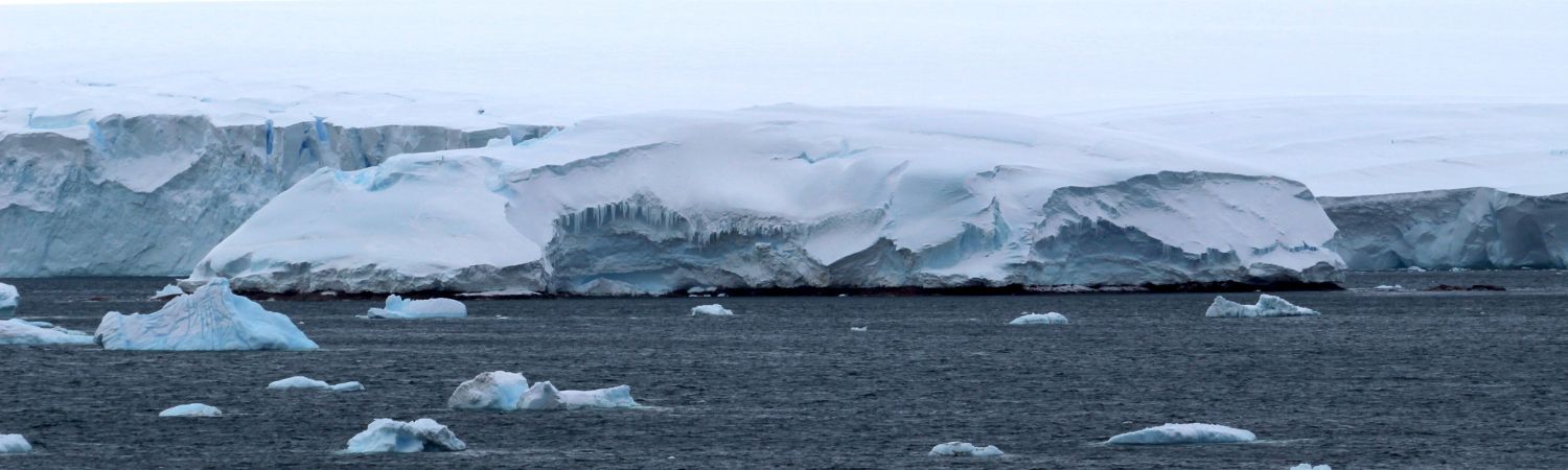 Icebergs and water